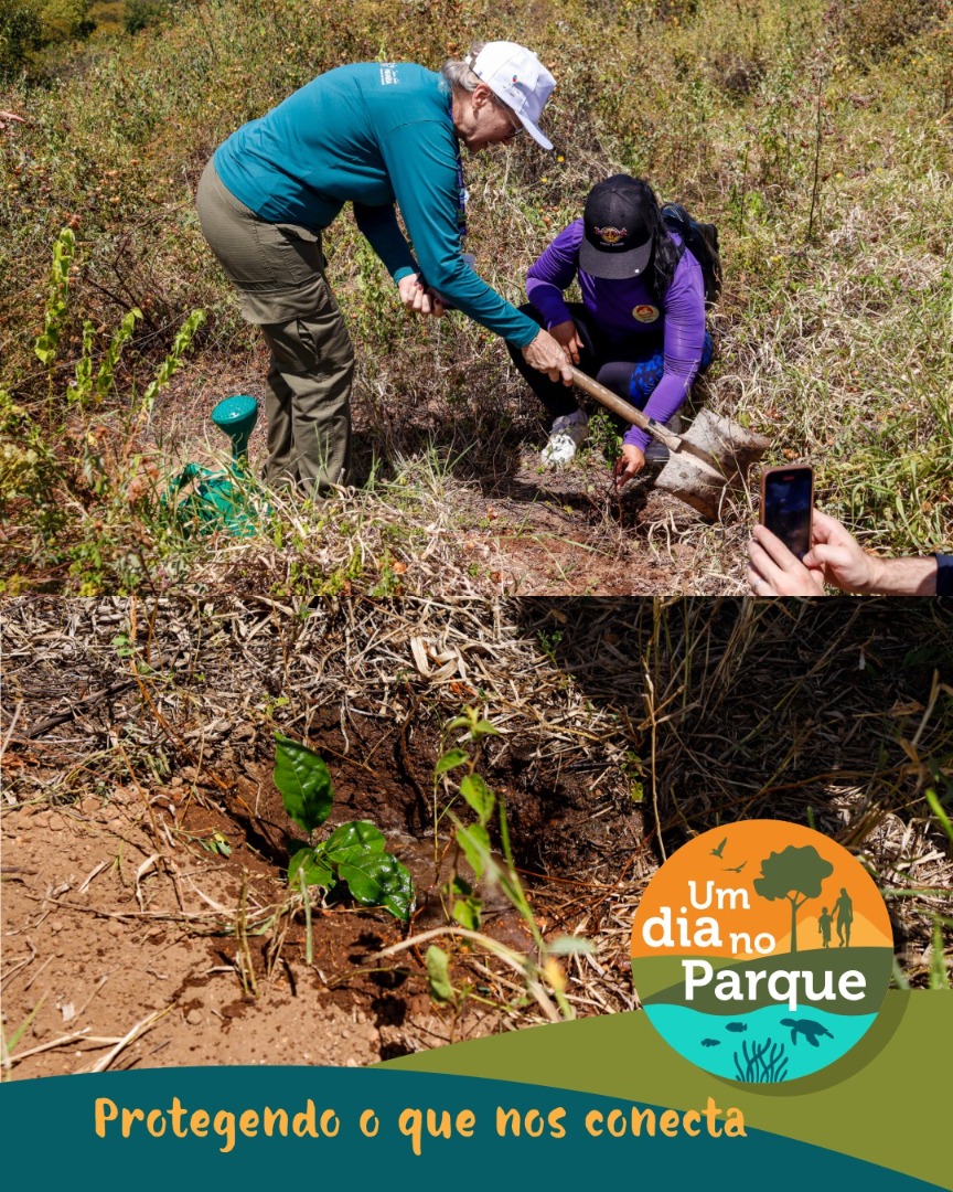 WhatsApp Image 2025-07-21 at 16.34.03.jpeg