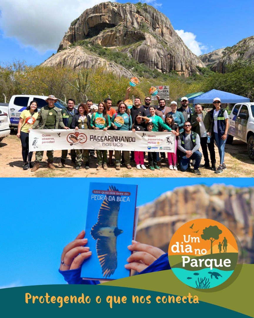 WhatsApp Image 2025-07-21 at 16.34.09.jpeg