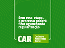 SITE CAR 3.png