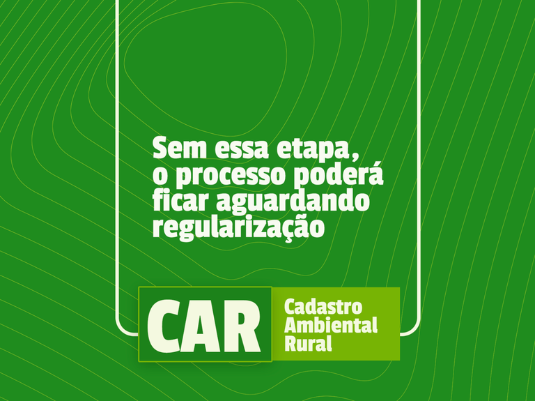 SITE CAR 3.png