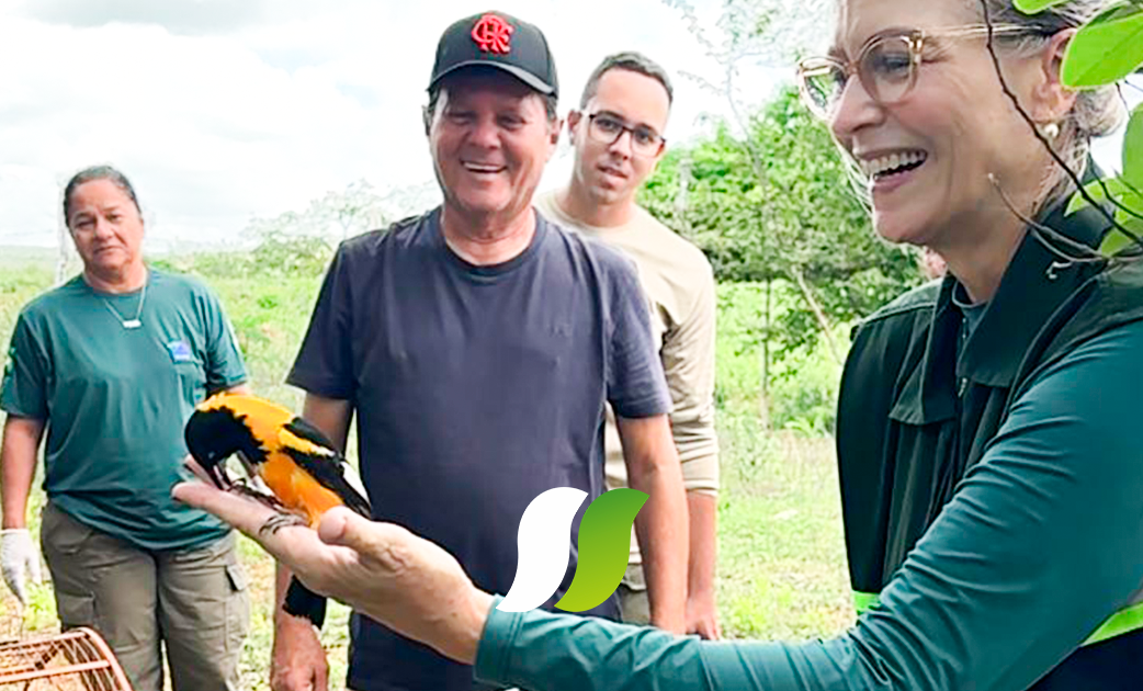 Ação ocorreu em parceria com o Ibama e integra acordo de cooperação técnica do CETAS