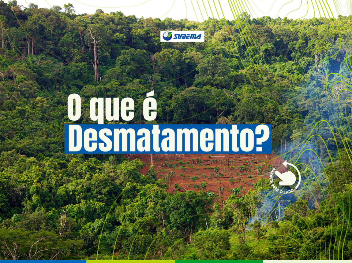 Intervenções na vegetação exigem autorização prévia e devem seguir critérios técnicos e legais