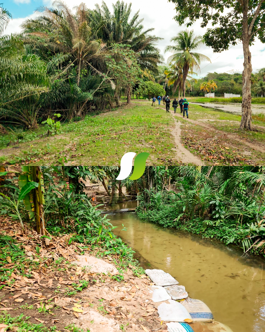 FT2-Sudema-dá-continuidade-à-ação-de.png