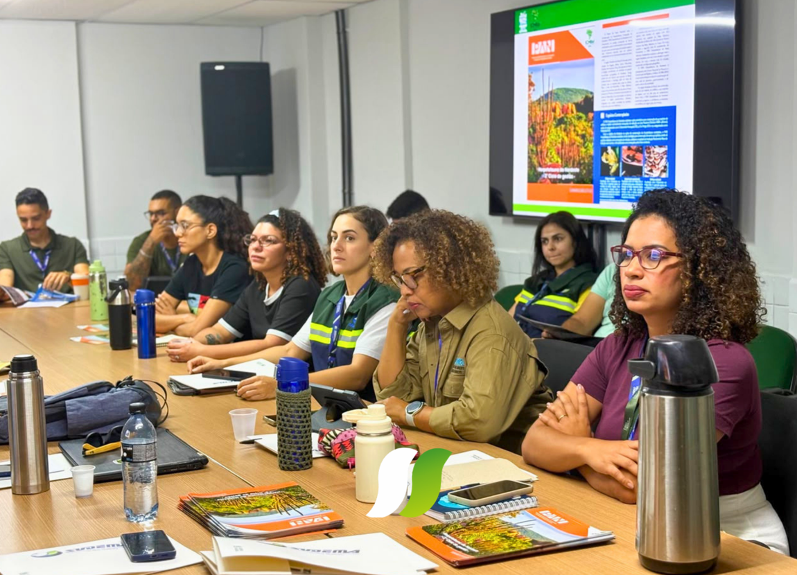 Reunião técnica abordou a integração do PAN Herpetofauna do Nordeste ao licenciamento, à fiscalização e à gestão ambiental no estado.