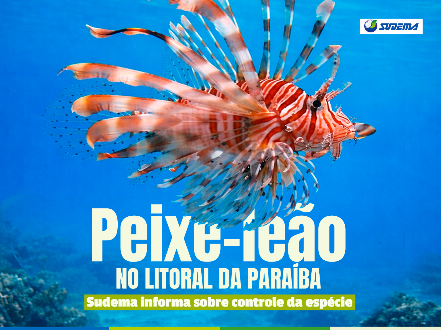 SITE CAPA.png