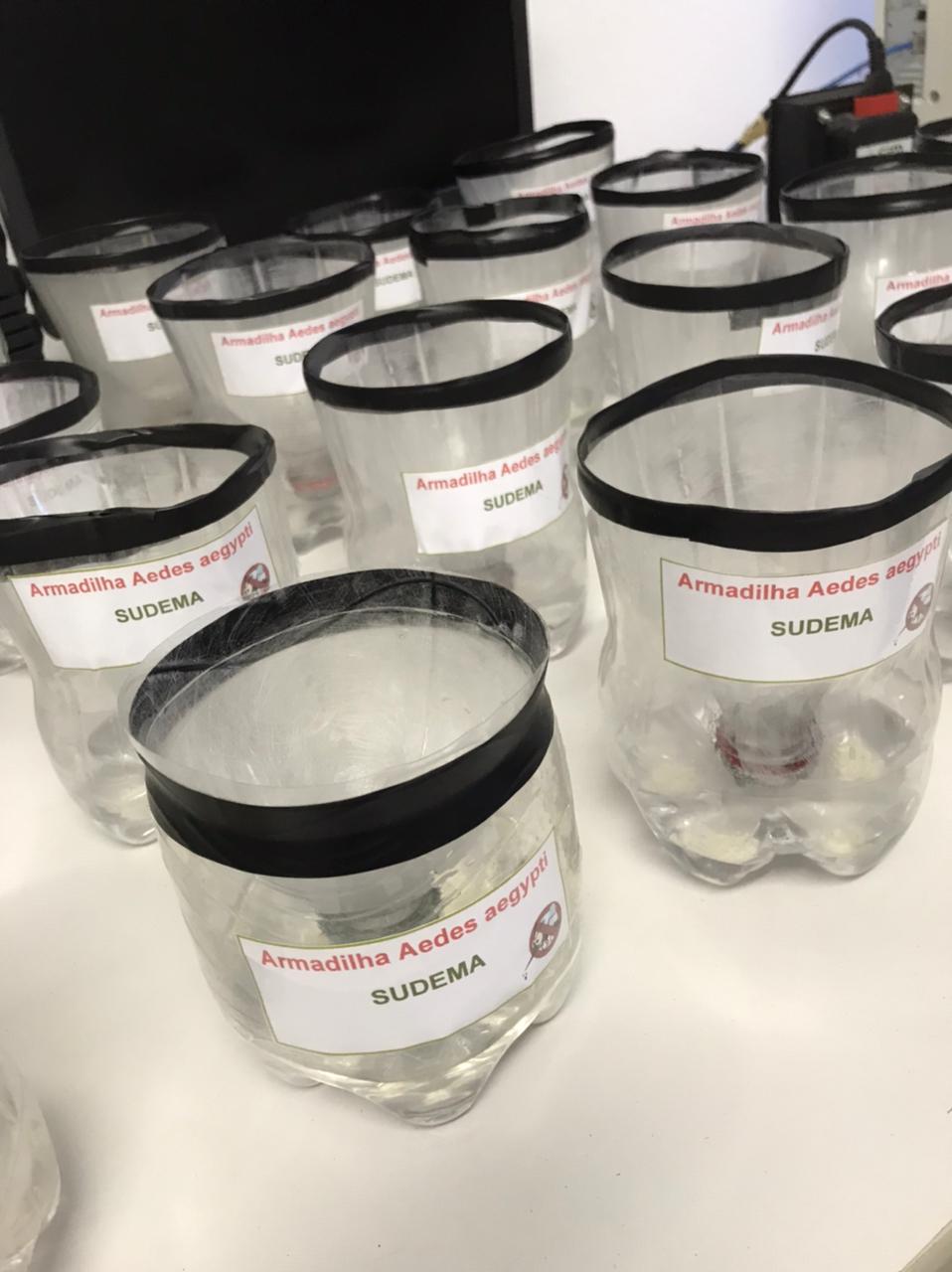 Armadilha mosquito da dengue (4).jpeg