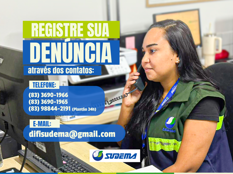 SERVIDORA SUDEMA site.png