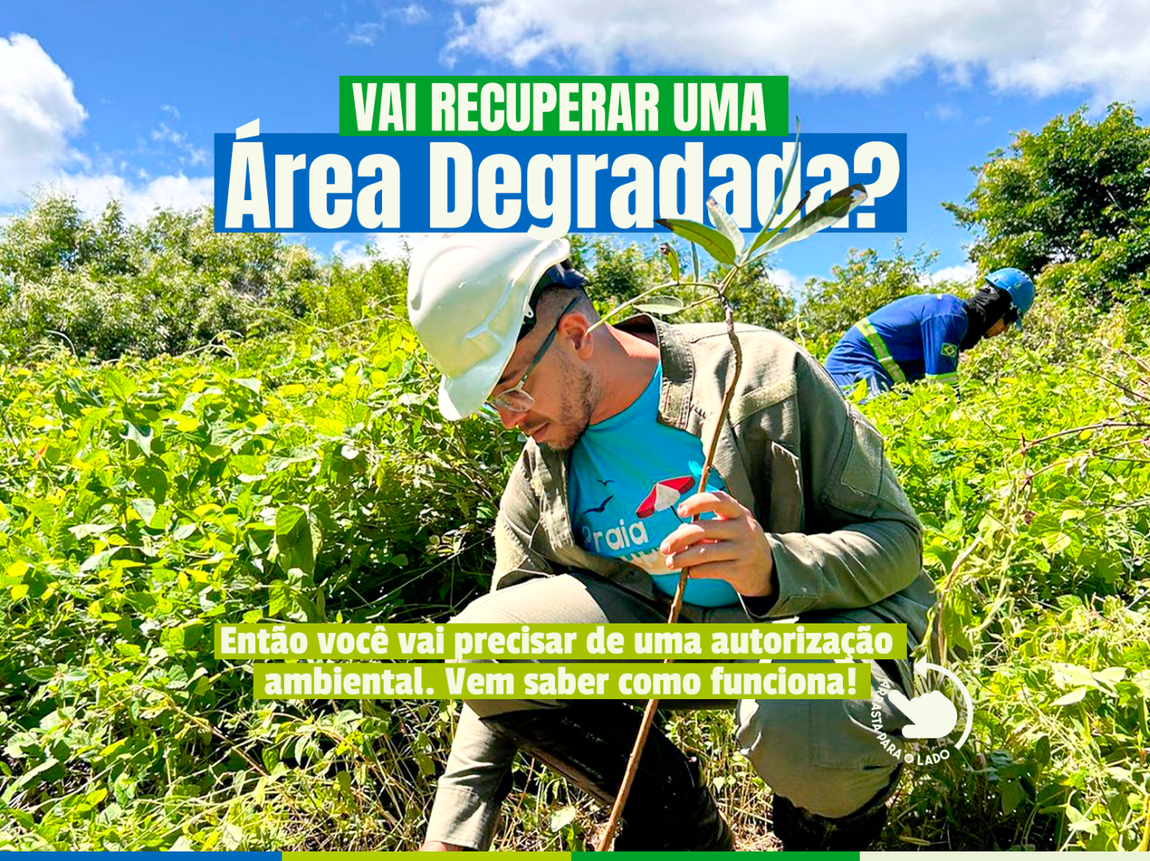 Execução do PRAD exige autorização prévia e acompanhamento técnico para garantir conformidade ambiental
