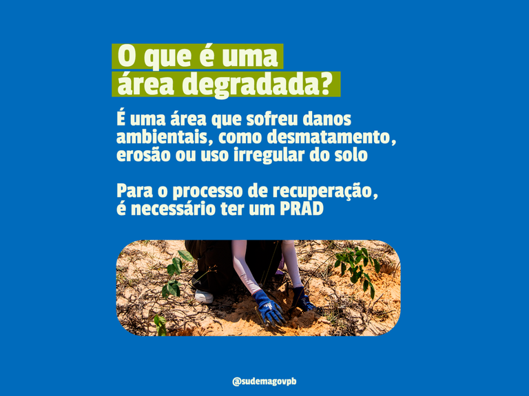 imagem_2026-06-30_165653971.png