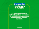 imagem_2026-06-30_165658155.png