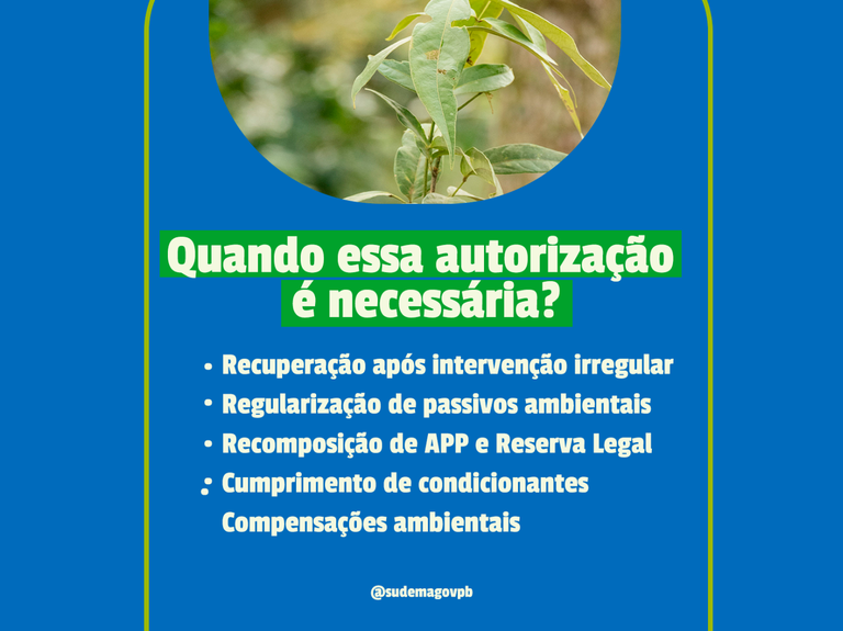 imagem_2026-06-30_165713082.png