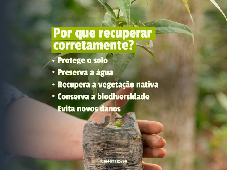 imagem_2026-06-30_165717824.png