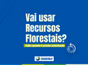 SITE RECURSOS FLORESTAIS 01 2026.png