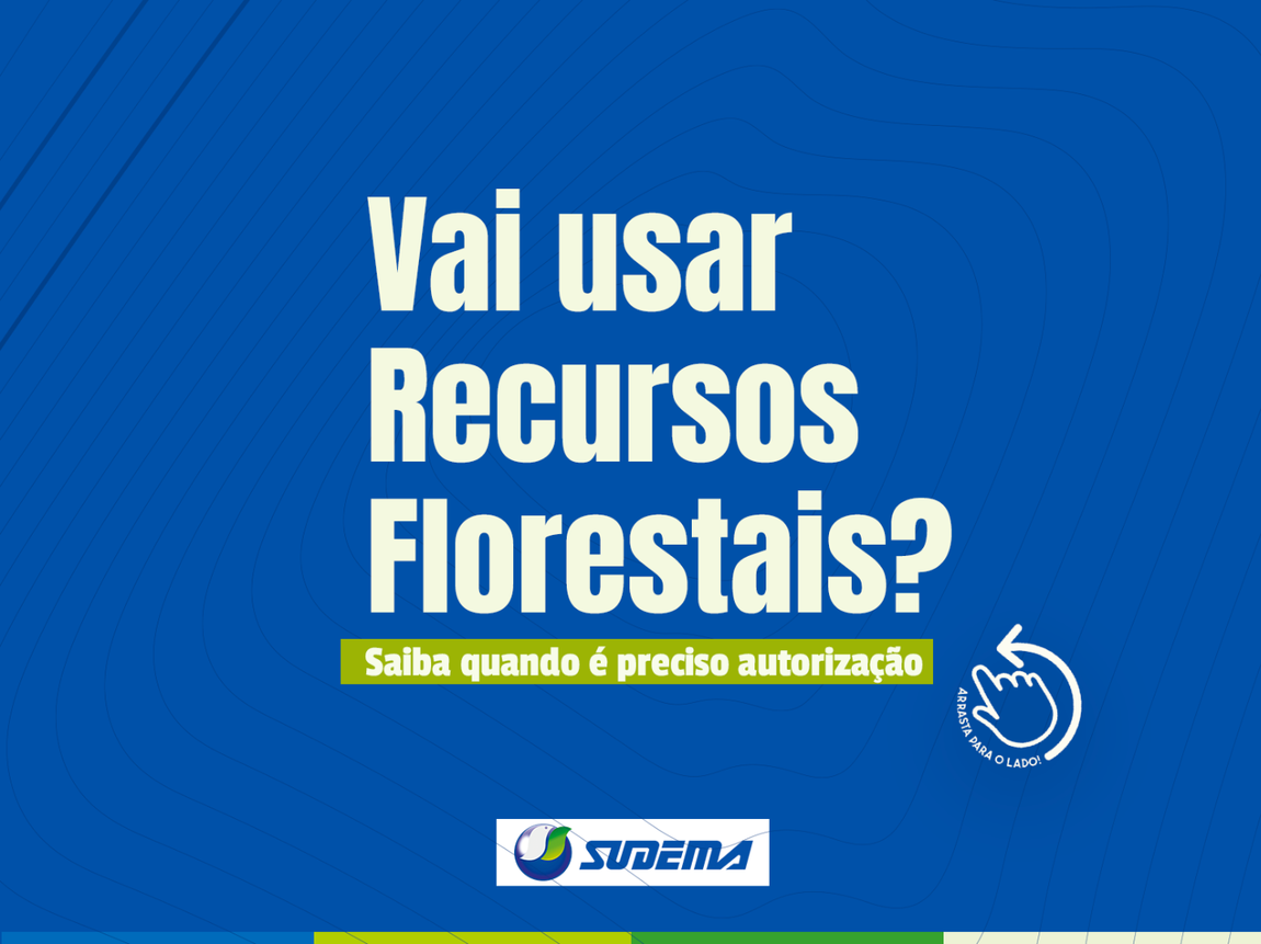 Utilização de produtos de origem vegetal deve seguir regras para garantir legalidade e sustentabilidade