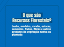 SITE RECURSOS FLORESTAIS 02 2026.png
