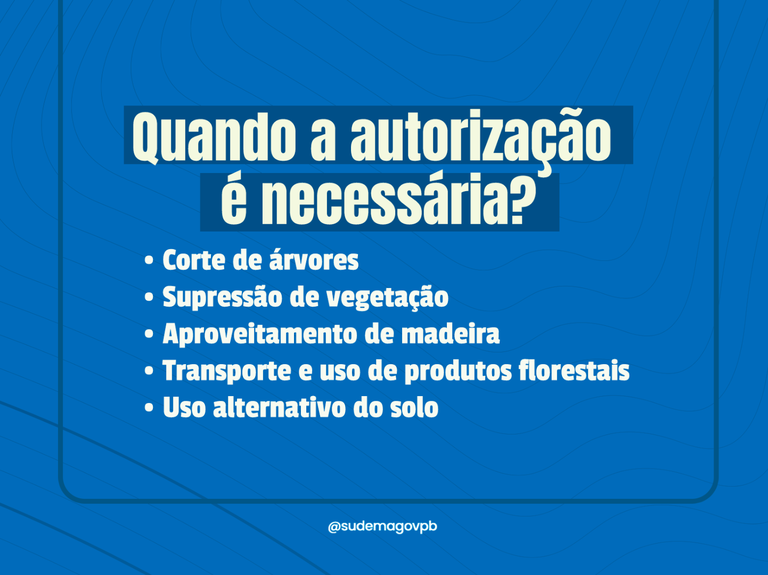 SITE RECURSOS FLORESTAIS 04 2026.png