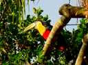 imagem_2026-05-19_132015634.png