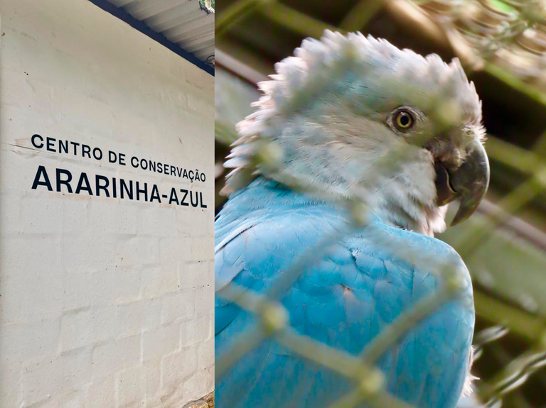 imagem_2026-05-19_132032570.png
