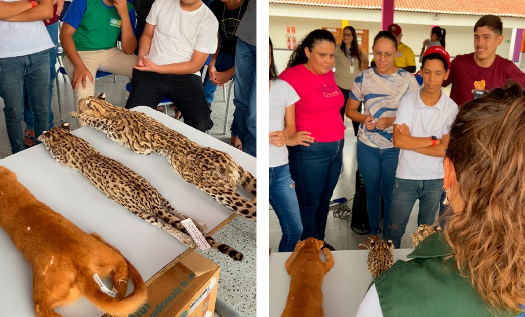 WhatsApp Image 2026-03-25 at 17.03.18 (10).jpeg