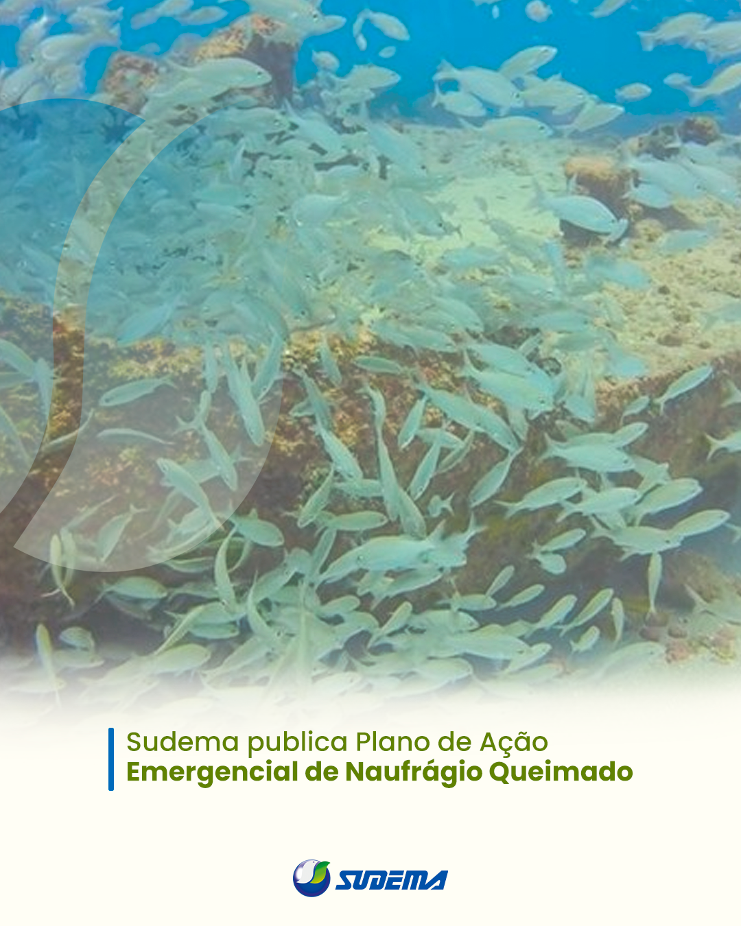 NOÍTICA - RELEASE (2).png