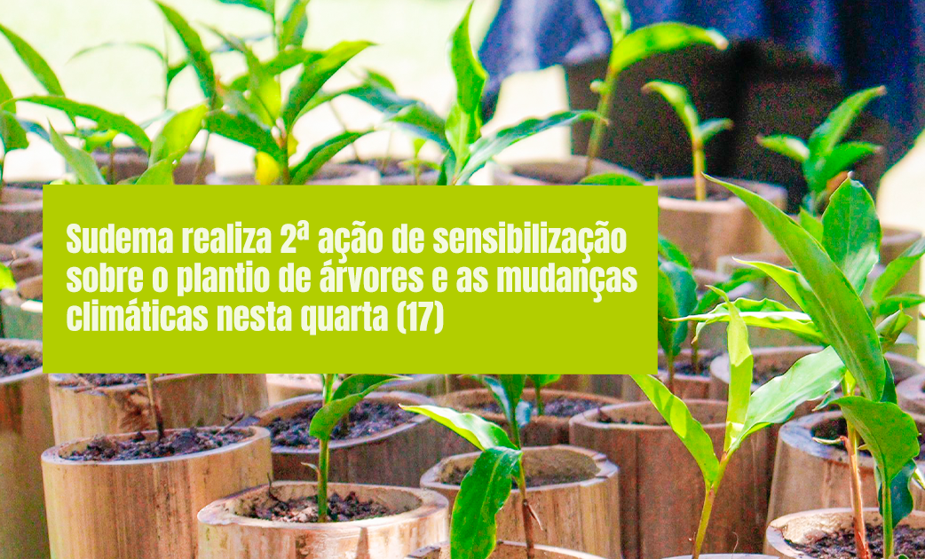 plantio de árvores e as mudanças climáticas 2-2.png