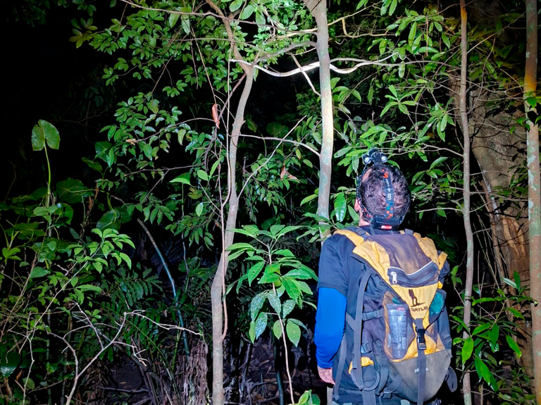 SITE 5.png