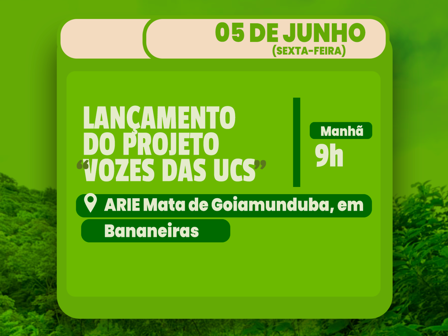 imagem_2026-06-02_171116389.png