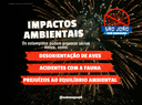 imagem_2026-05-25_171823614.png