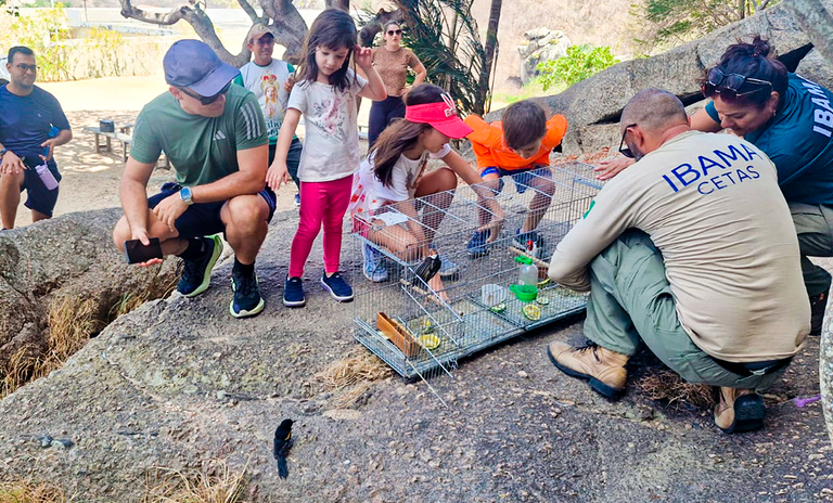 SITE CAPA copiar 5.png