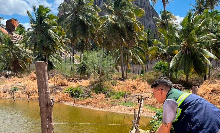 SITE CAPA copiar.png