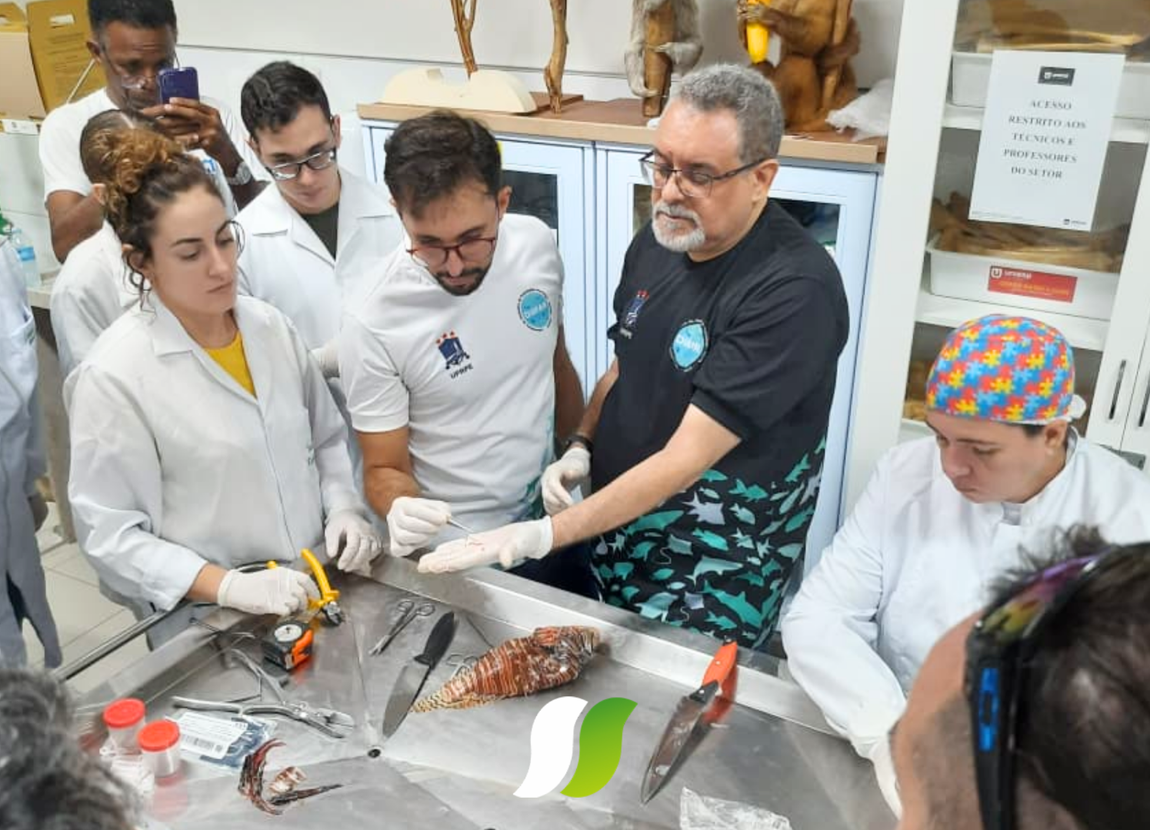 Capacitação abordou técnicas científicas para estudo da espécie invasora no litoral paraibano