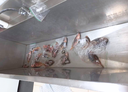 imagem_2026-06-09_163029600.png