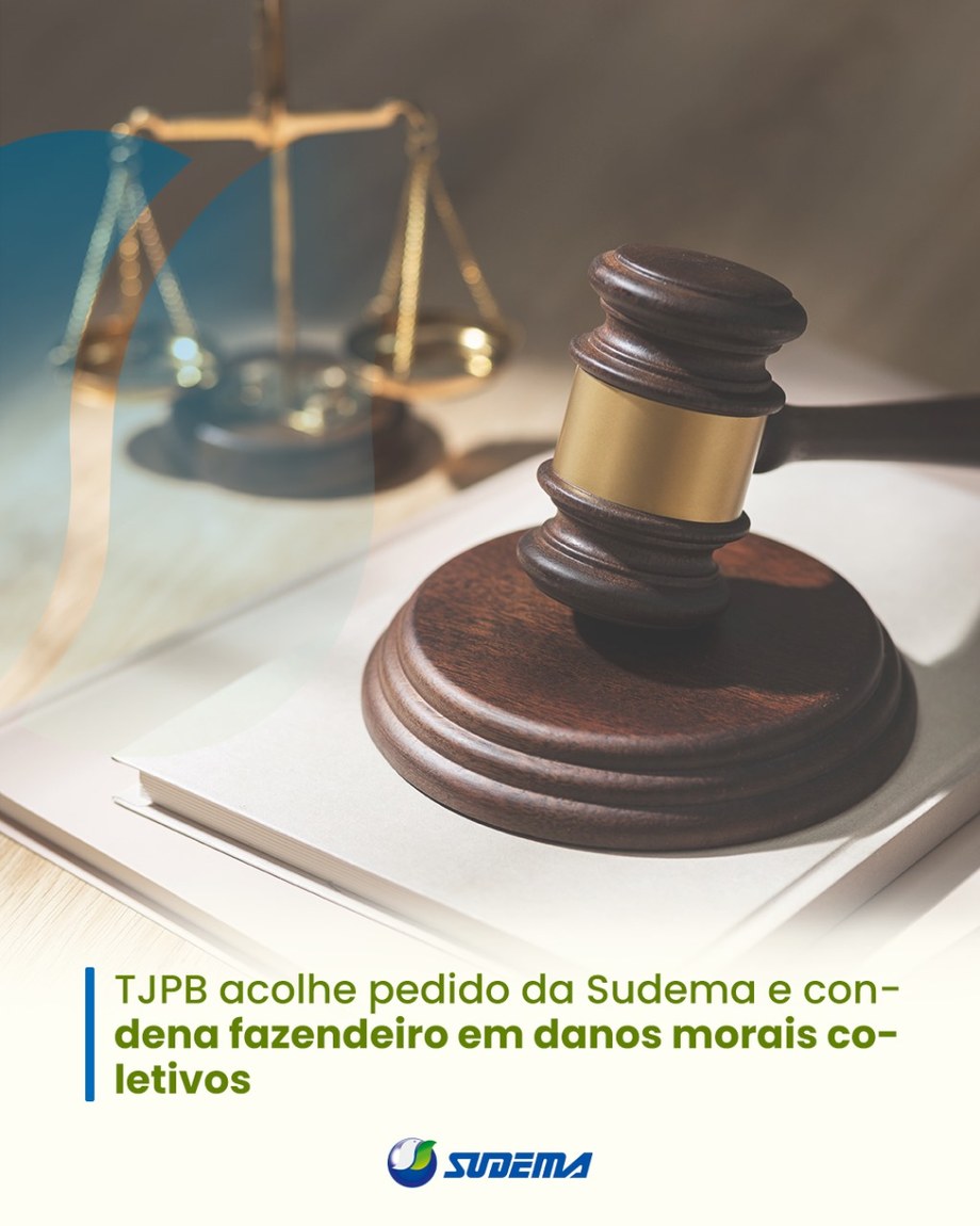 O Tribunal de Justiça da Paraíba, em ação movida pela Sudema, condenou um fazendeiro em danos morais coletivos em um caso de desmatamento ilegal de área situada no Bioma Caatinga