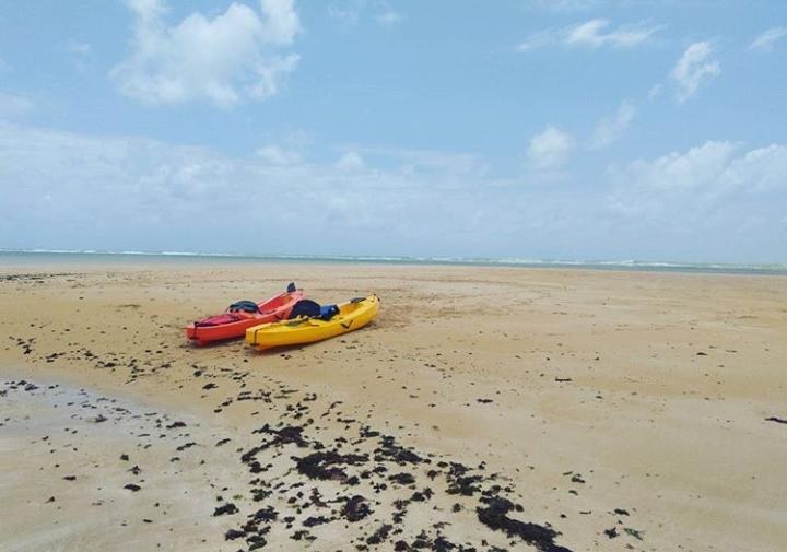 WhatsApp Image 2020-03-20 at 10.17.36.jpeg