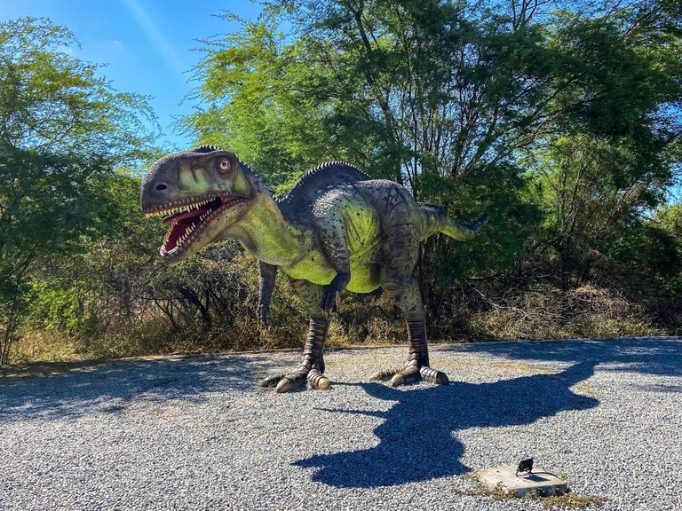 Vale dos Dinossauros em Sousa